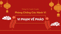 TUYÊN TRUYỀN CÁC QUY ĐỊNH PHÁP LUẬT VỀ VŨ KHÍ, PHÁO