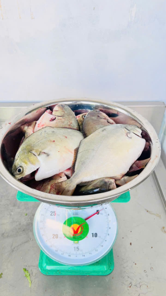 👩‍🍳 Các cô cấp dưỡng – gửi trọn yêu thương trong từng món ăn, nuôi dưỡng bé khỏe mạnh mỗi ngày! 🥰